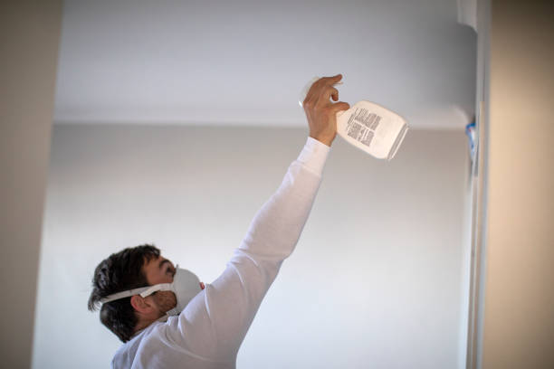 Best Same-Day Mold Removal  in Mitchell, SD