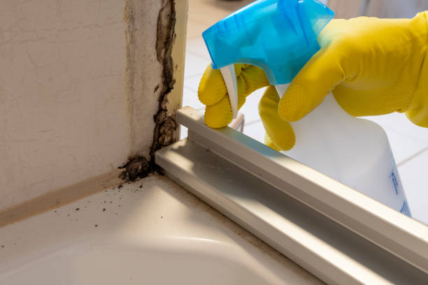 Best Mold Removal and Inspection  in Mitchell, SD