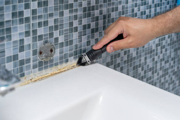 Best Mold Removal Near Me  in Mitchell, SD