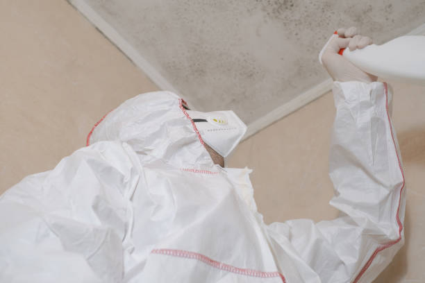 Best Black Mold Removal  in Mitchell, SD