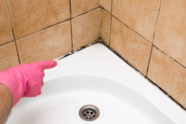 Best Office Mold Removal Services  in Mitchell, SD
